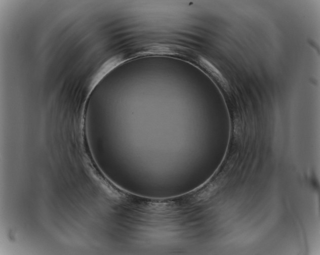 X0000092111378200709121610