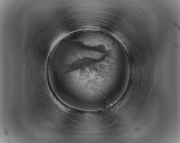 X0000092111379200709121610