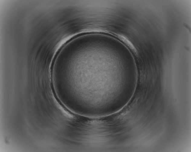 X0000092111380200709121610