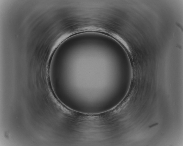 X0000092111381200709121610