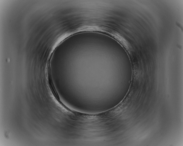 X0000092111382200709121610