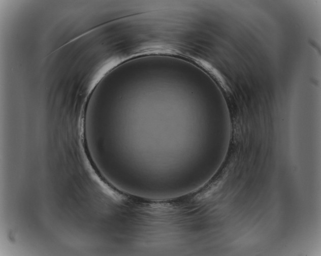 X0000092111383200709121610