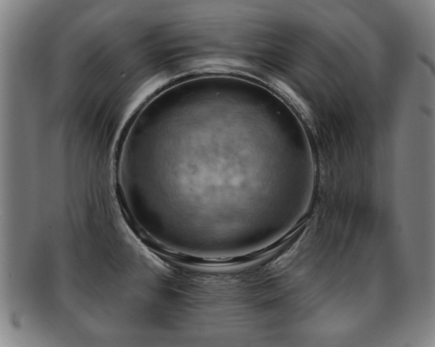 X0000092111384200709121610