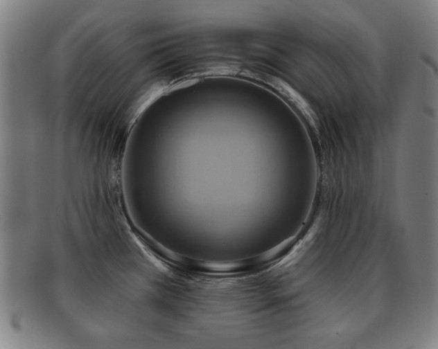 X0000092111385200709121610