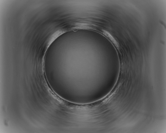 X0000092111386200709121610