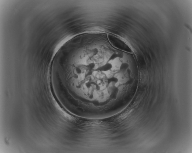 X0000092111387200709121610