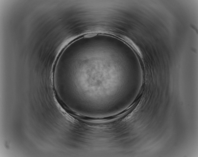 X0000092111388200709121610