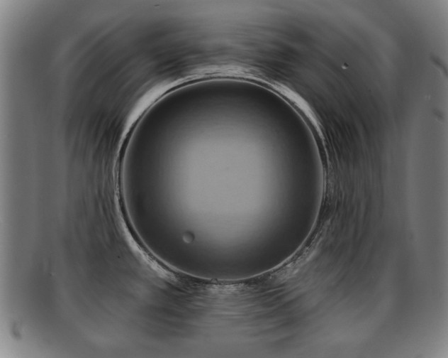 X0000092111389200709121610