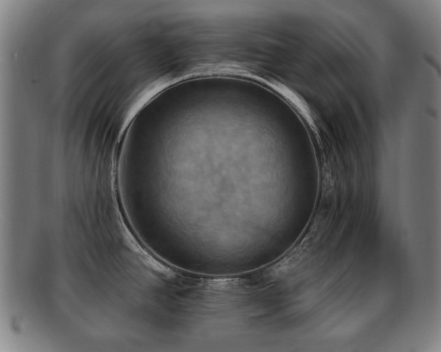 X0000092111390200709121610