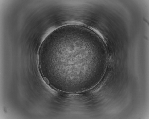 X0000092111391200709121610