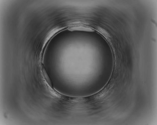 X0000092111392200709121610