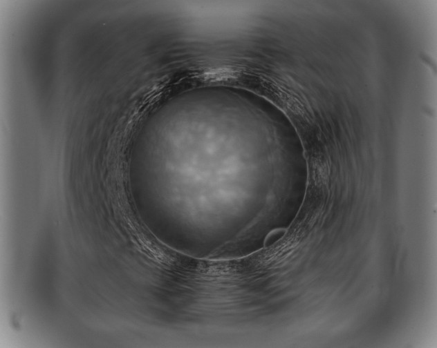 X0000092111393200709121609