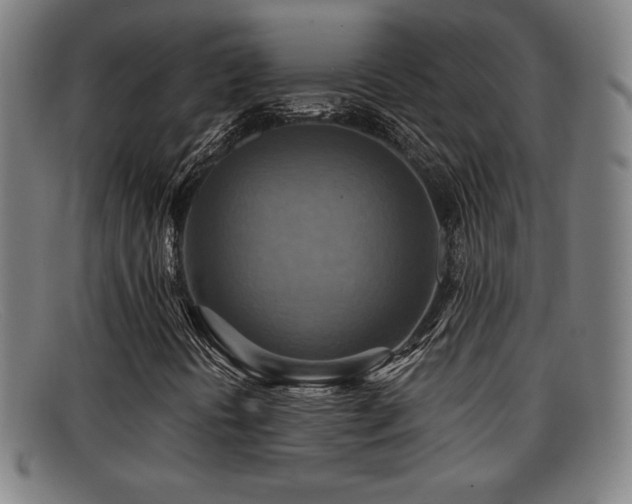 X0000092111394200709121609