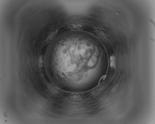 X0000092111395200709121609