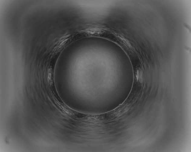 X0000092111396200709121609