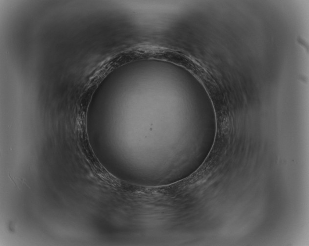 X0000092111397200709121609