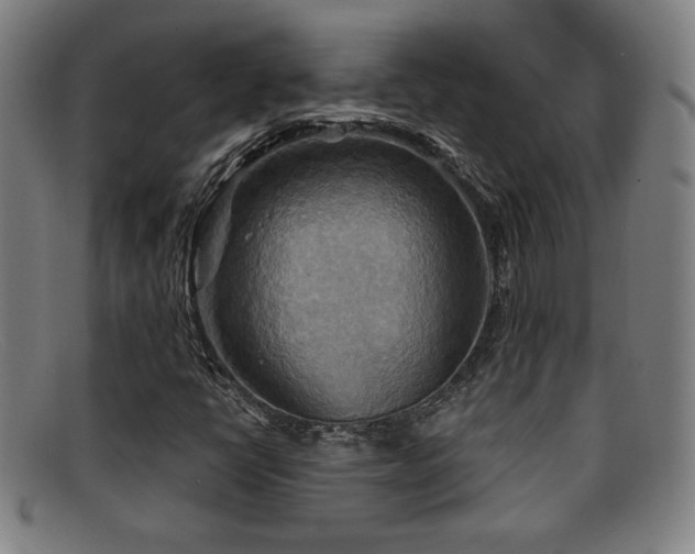 X0000092111398200709121609