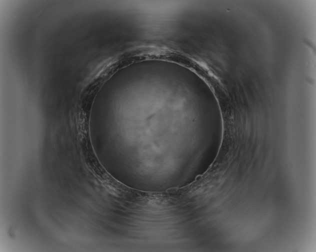 X0000092111399200709121609