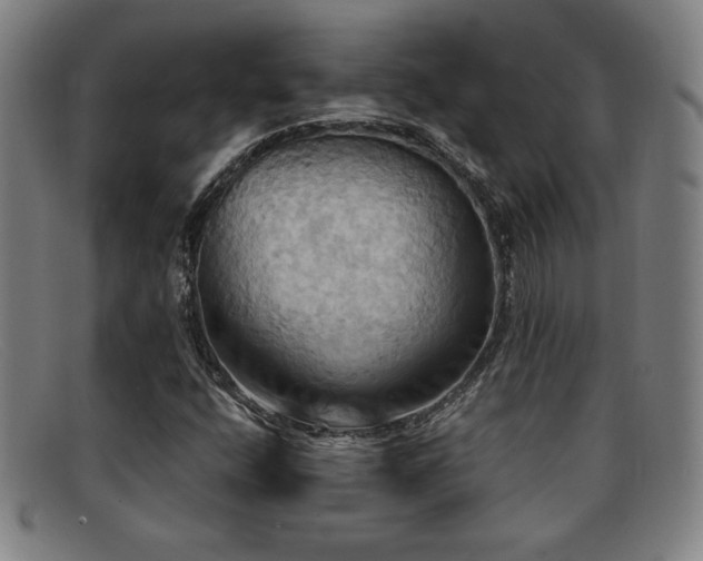 X0000092111400200709121609