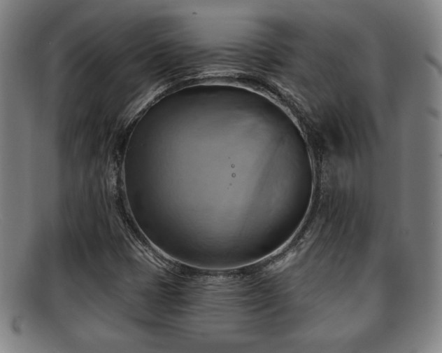 X0000092111401200709121609