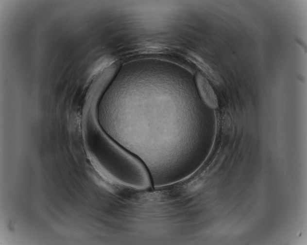 X0000092111402200709121609