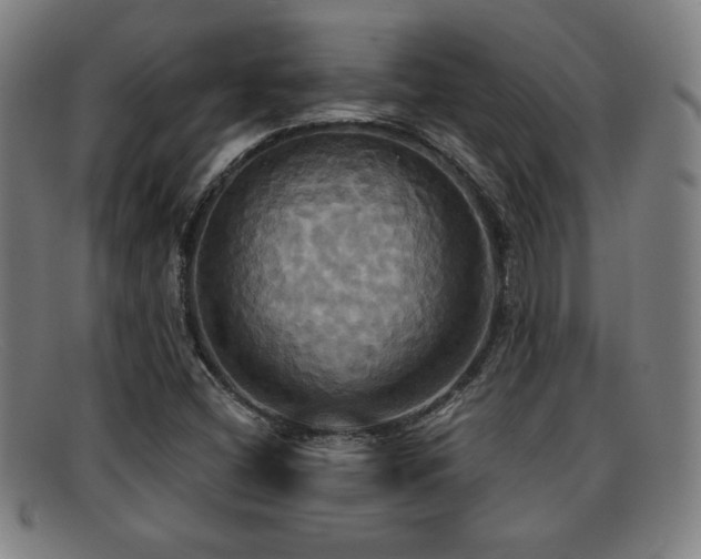 X0000092111404200709121609