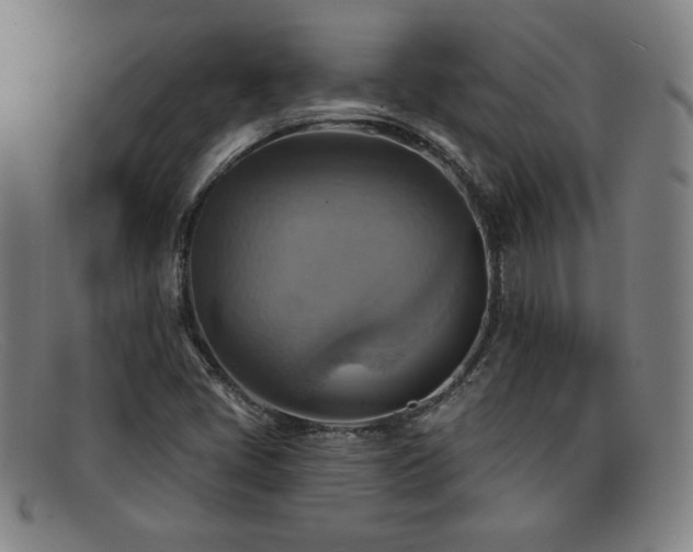 X0000092111405200709121609