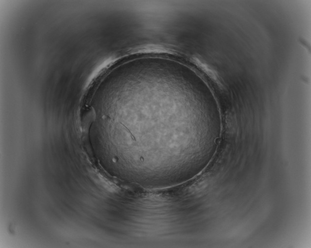 X0000092111408200709121609