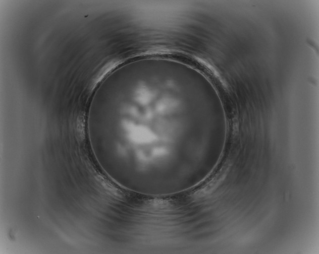 X0000092111409200709121609