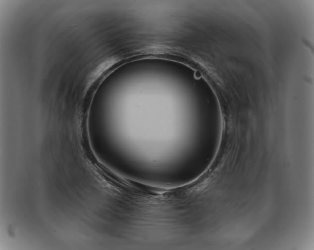 X0000092111410200709121609