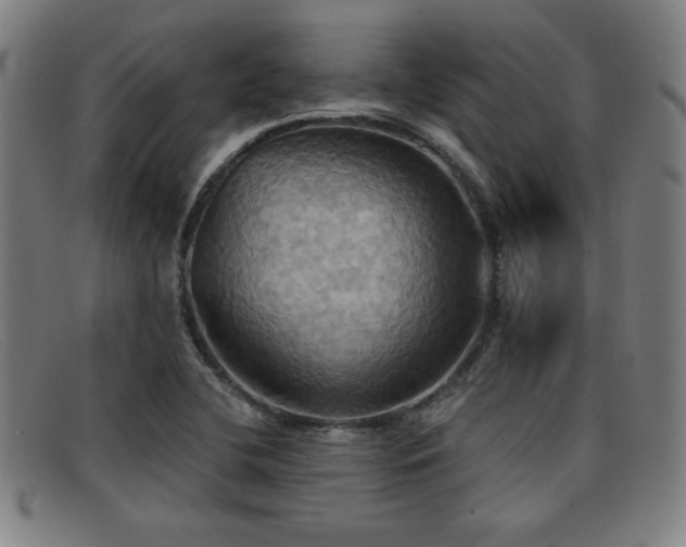 X0000092111412200709121609