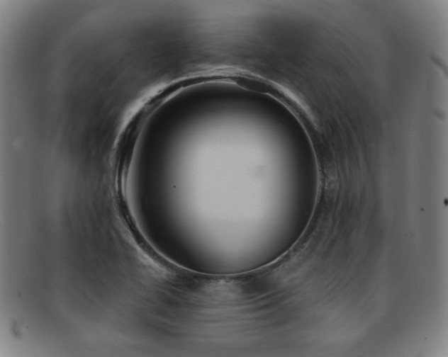 X0000092111414200709121609