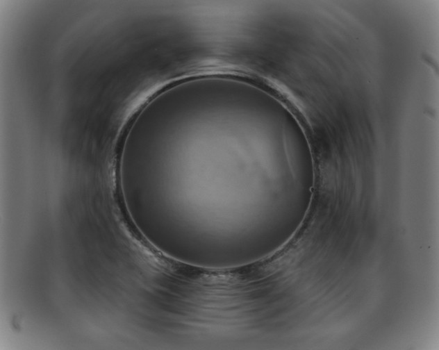 X0000092111415200709121609