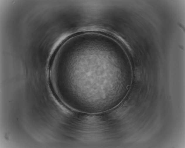 X0000092111416200709121609