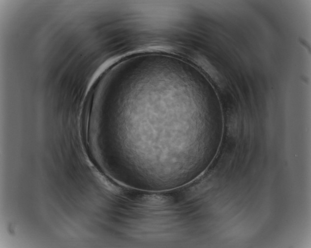 X0000092111420200709121609