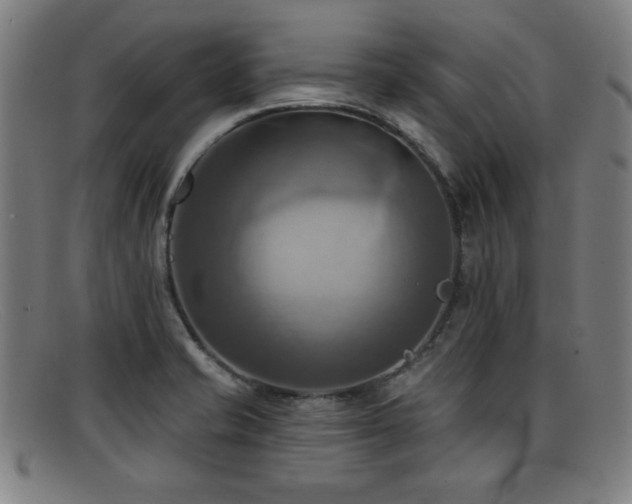 X0000092111421200709121609