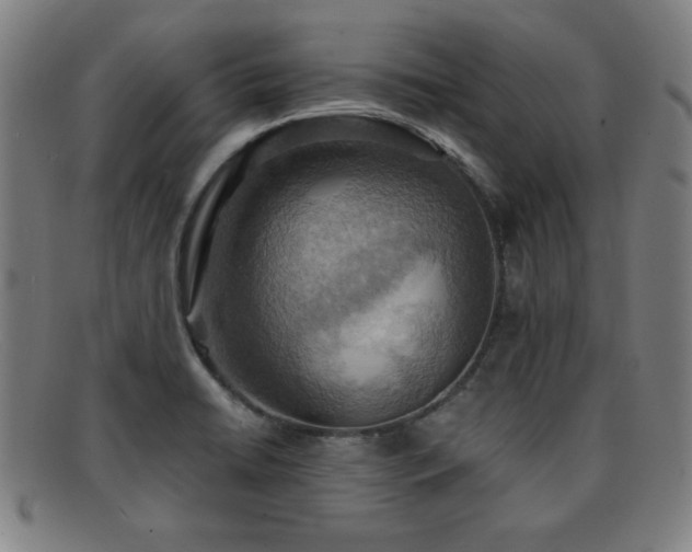 X0000092111422200709121609