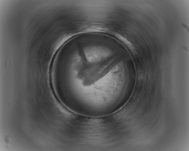 X0000092111423200709121609