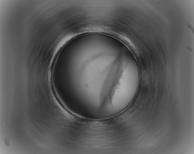 X0000092111424200709121609
