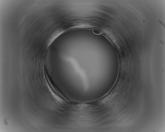 X0000092111425200709121609