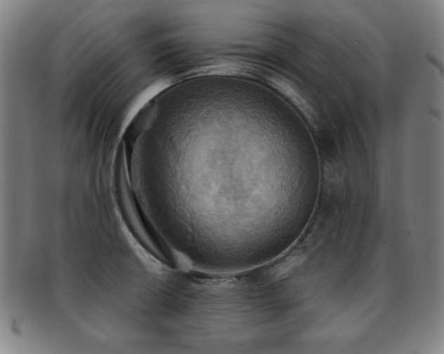 X0000092111426200709121609