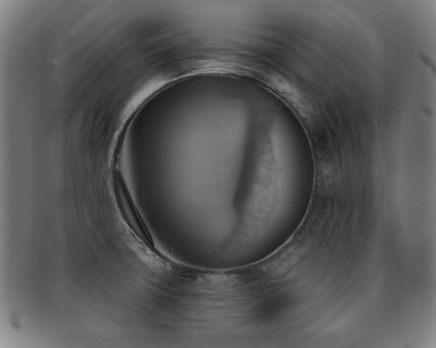 X0000092111427200709121609
