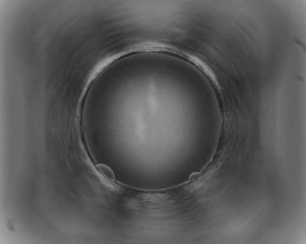 X0000092111429200709121609