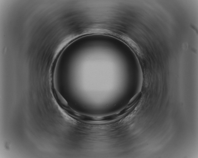 X0000092111430200709121609