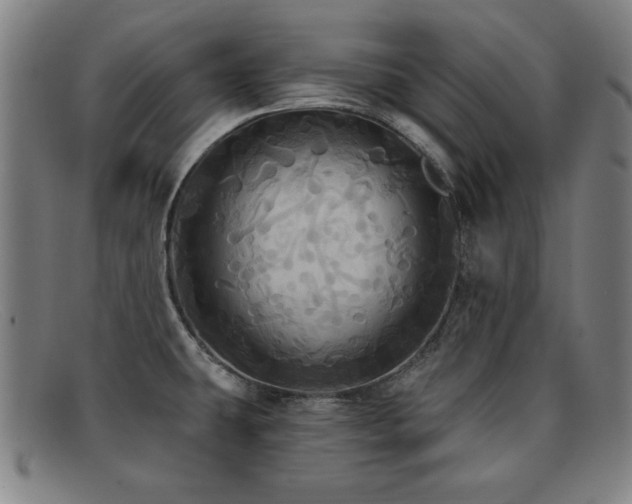 X0000092111431200709121609