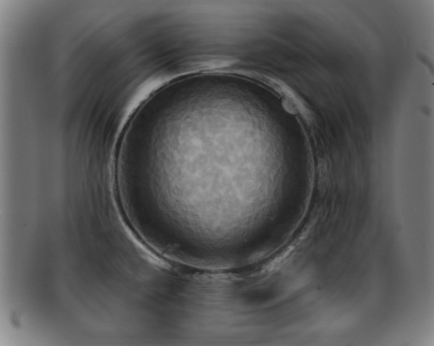 X0000092111432200709121609