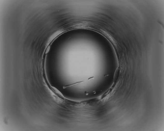 X0000092111434200709121610