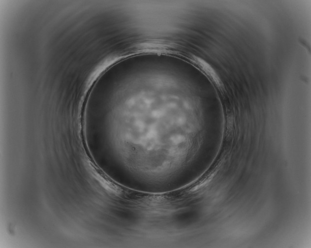 X0000092111435200709121610