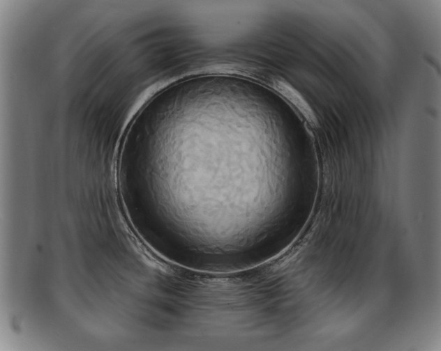 X0000092111436200709121610