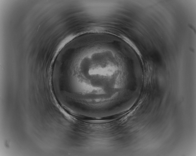 X0000092111437200709121610